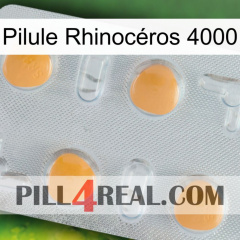Pilule Rhinocéros 4000 24